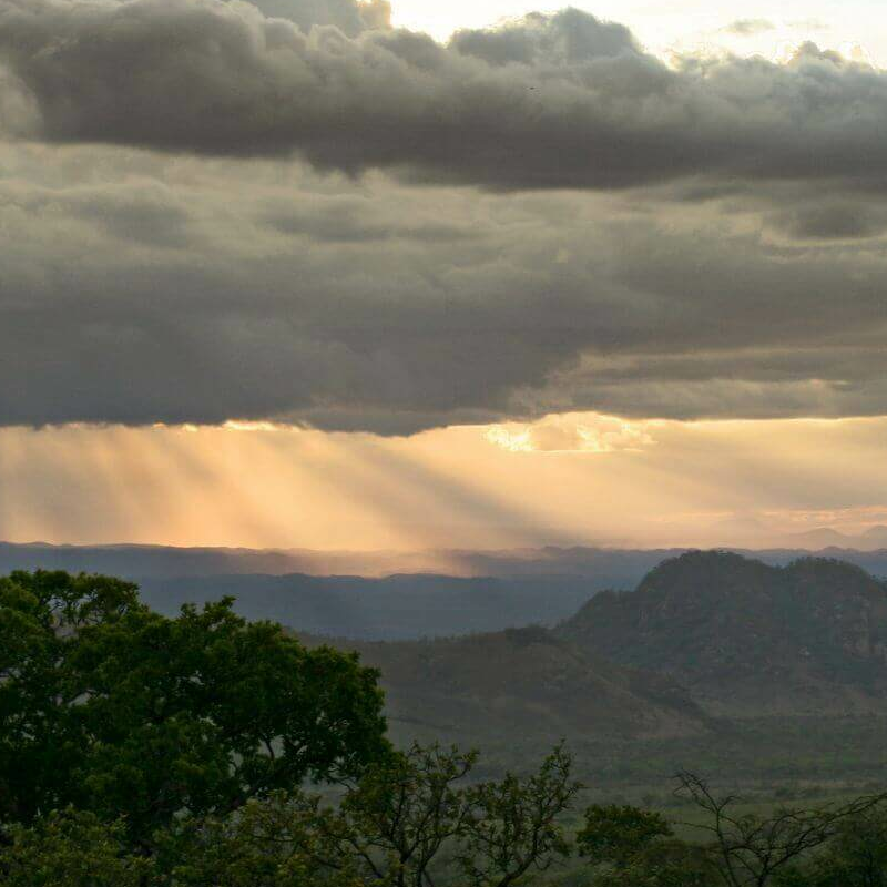 Unschlagbares Kenia