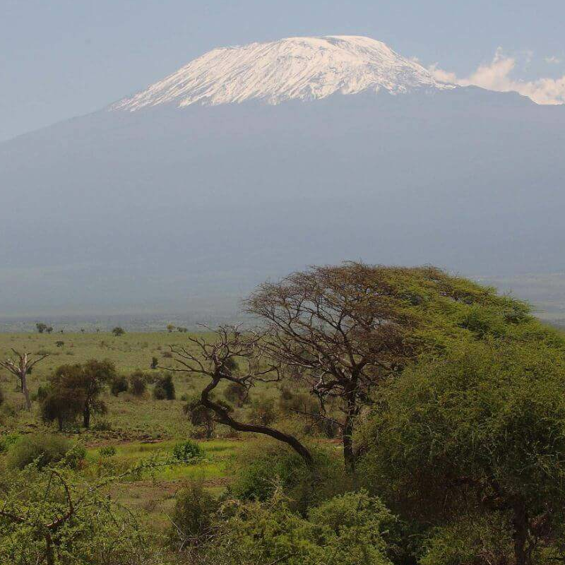 Unschlagbares Kenia