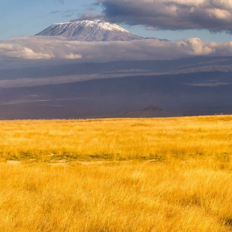 Unschlagbares Kenia