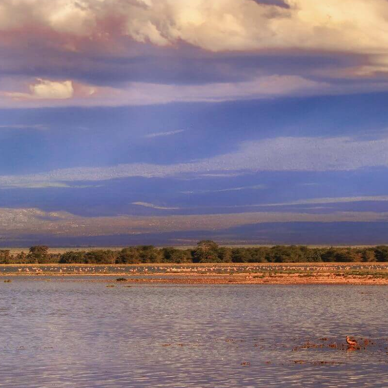 Unschlagbares Kenia