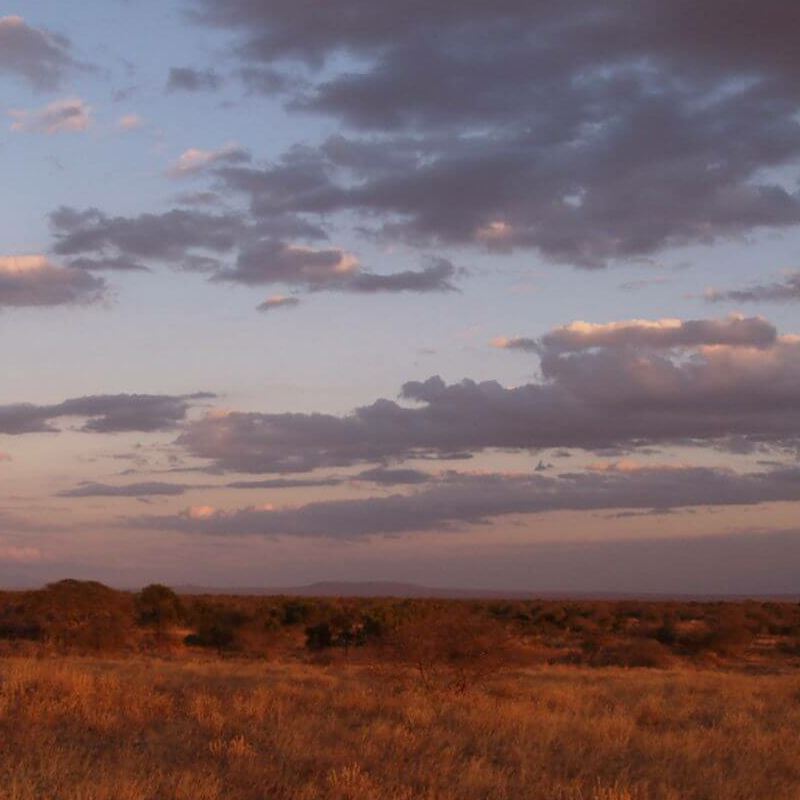 Unschlagbares Kenia