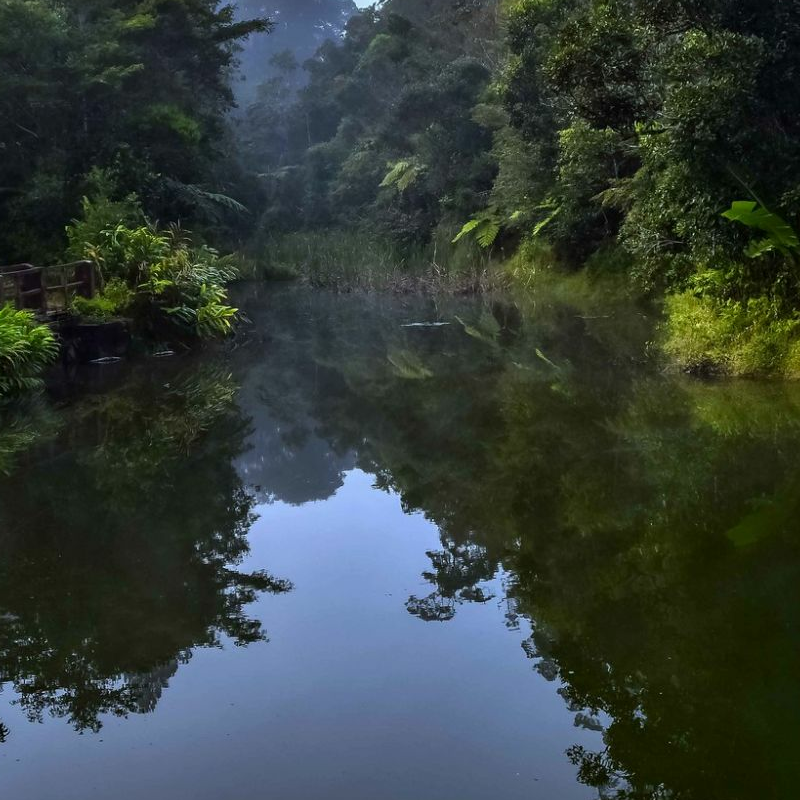 Andasibe Nationalpark