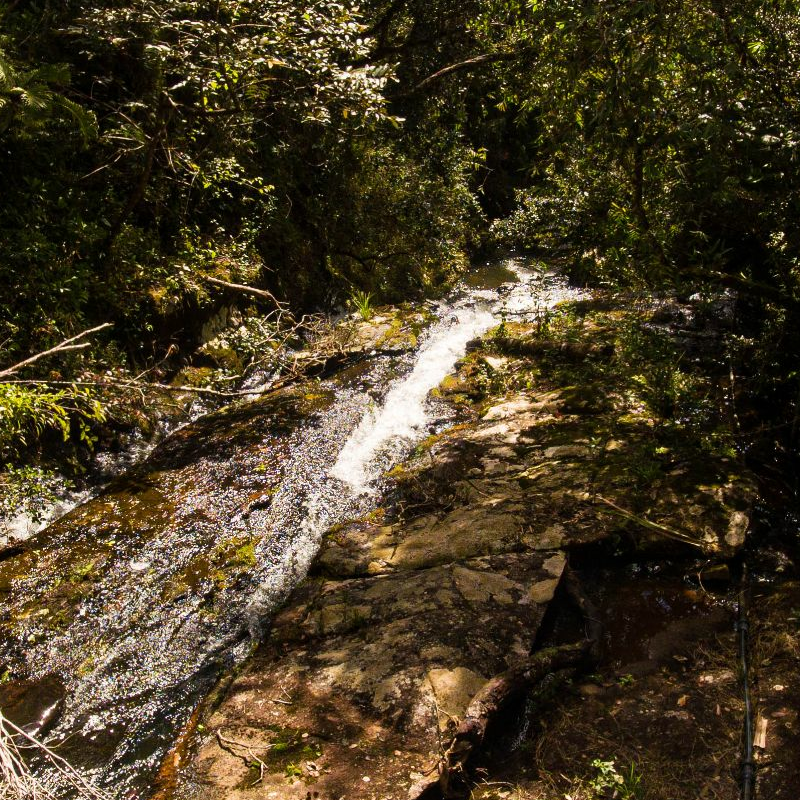 Andasibe Nationalpark