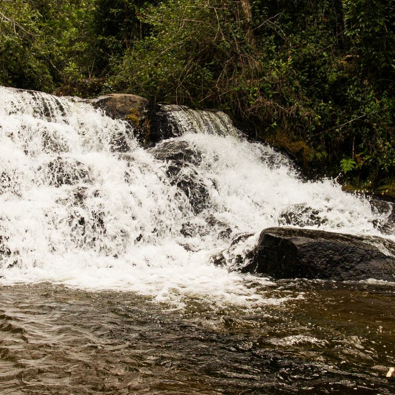 Andasibe Nationalpark