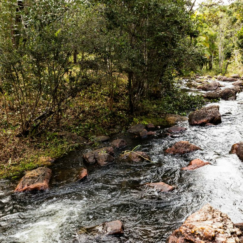 Andasibe Nationalpark