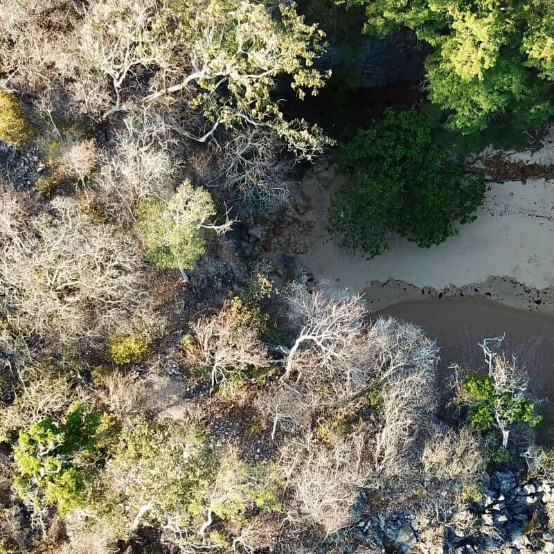 Anjajavy
