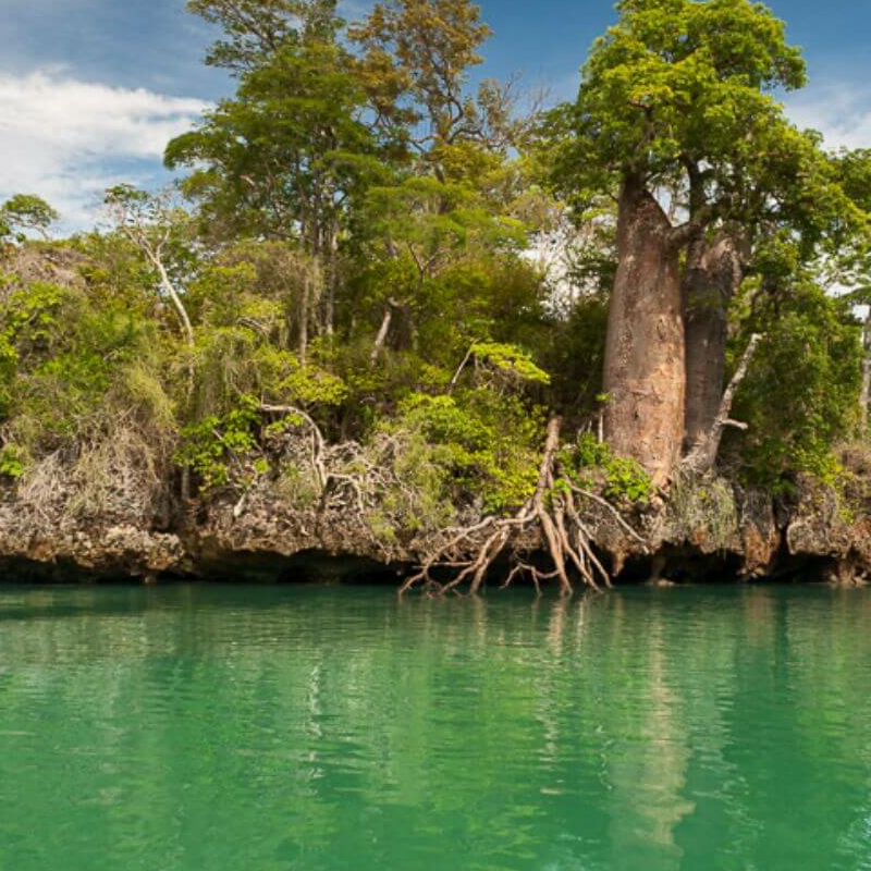 Anjajavy