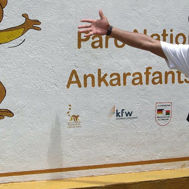 Ankarafantsika