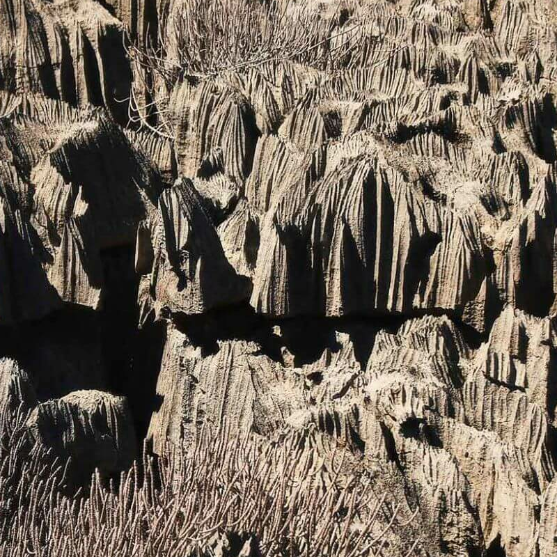 Ankarana Nationalpark