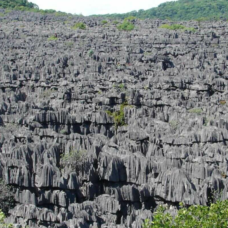 Ankarana Nationalpark