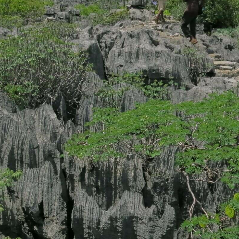 Ankarana Nationalpark