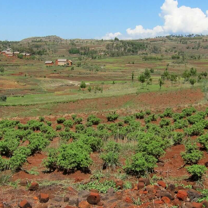 Antsirabe