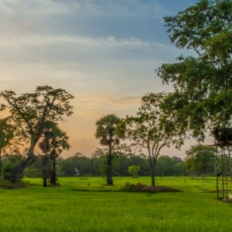 Anuradhapura