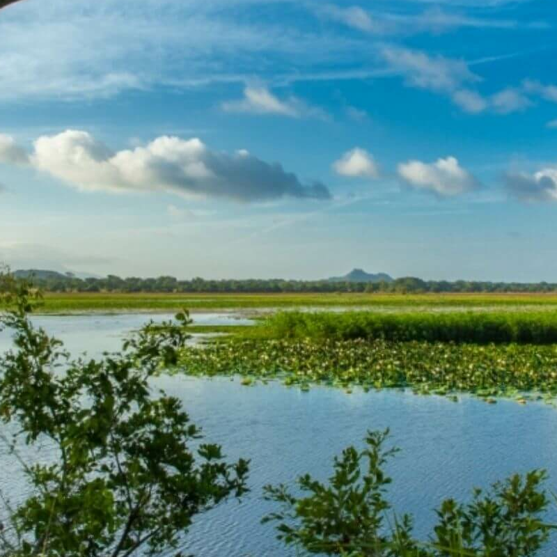 Anuradhapura