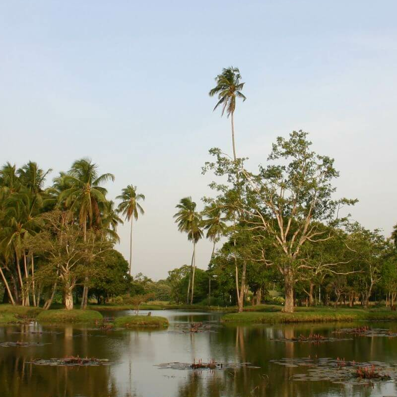Anuradhapura