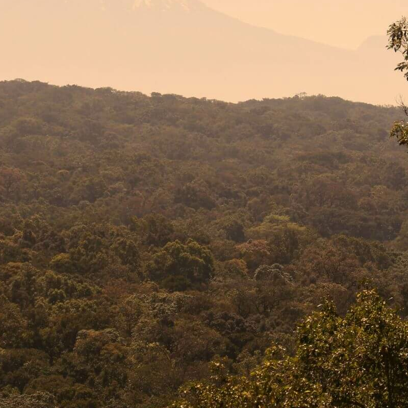 Tansania Serengeti Intensivsafari: die große Migration