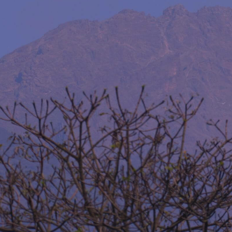 Tansania Serengeti Intensivsafari: die große Migration