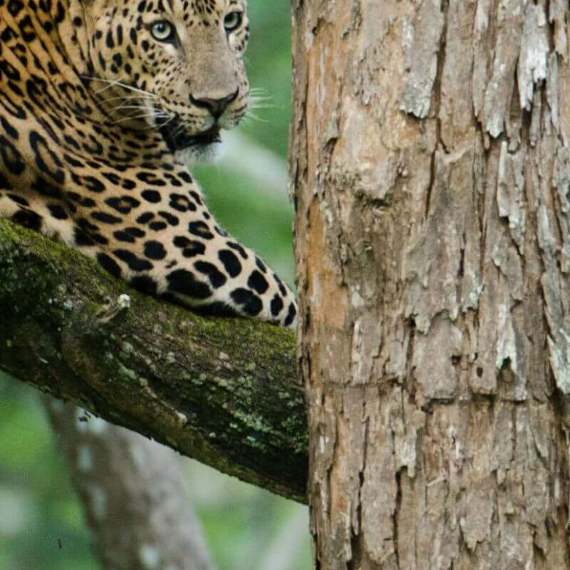 Asien