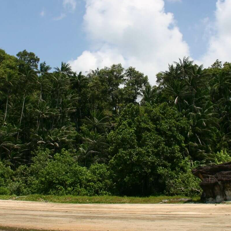 Bako Nationalpark