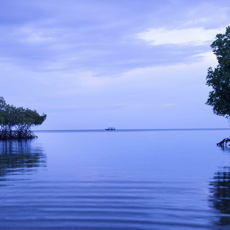 Bali