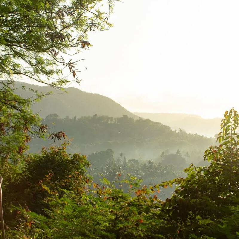 Bali