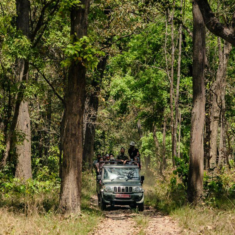 Bardiya-Nationalpark