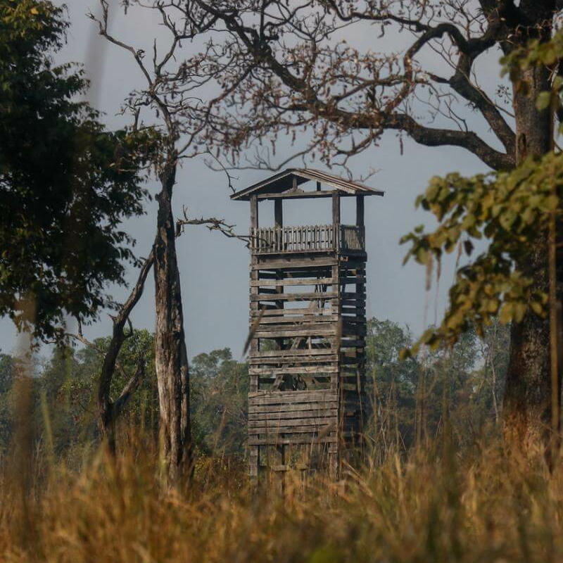 Bardiya-Nationalpark