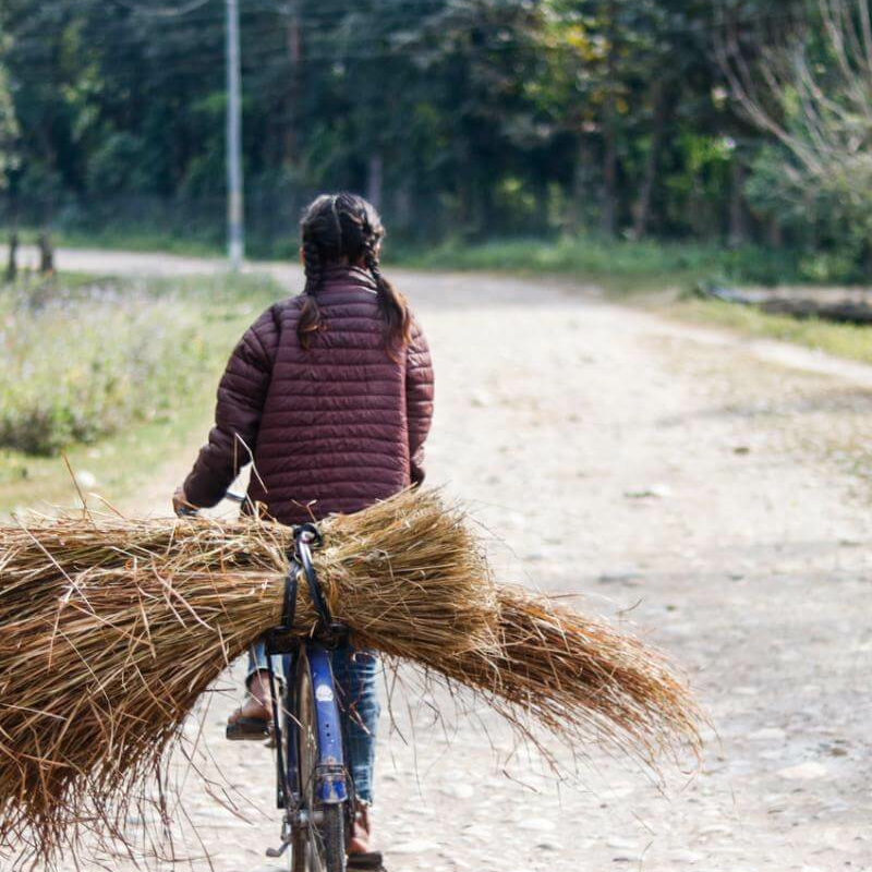 Bardiya-Nationalpark