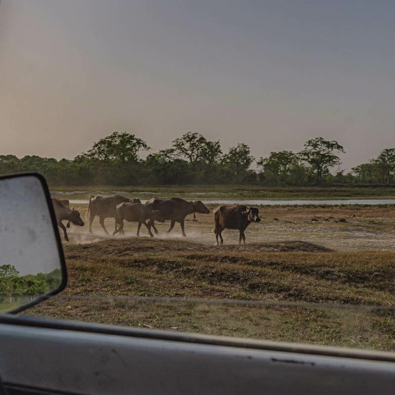 Bardiya-Nationalpark