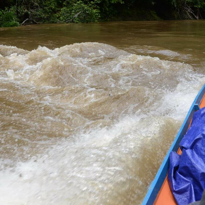 Batang Ai Nationalpark