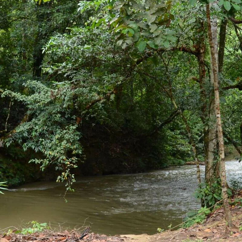 Batang Ai Nationalpark