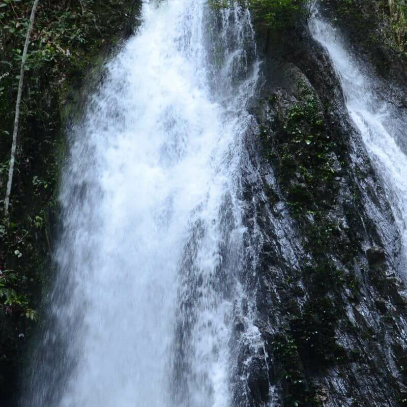 Batang Ai Nationalpark