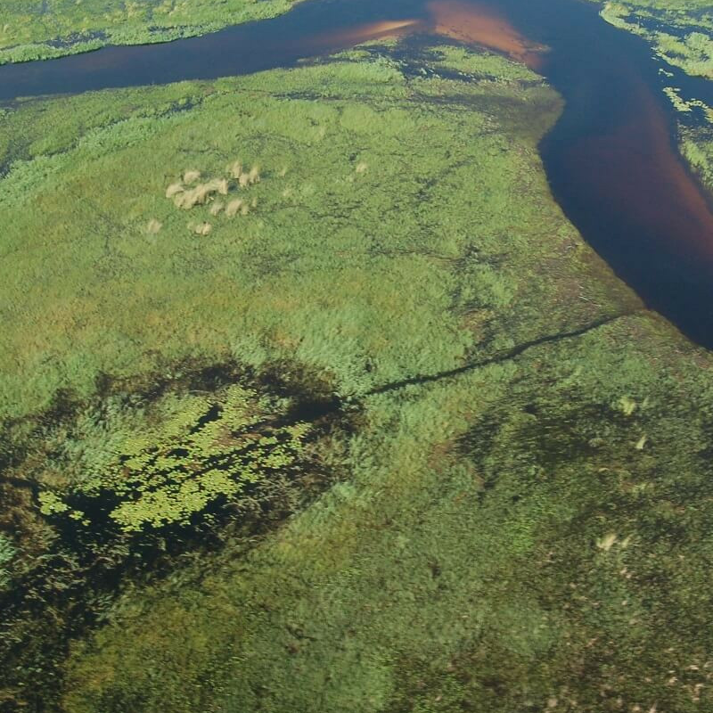 Best of Botswana