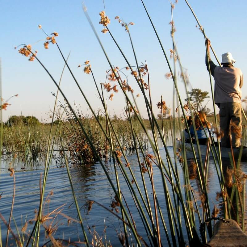 Best of Botswana
