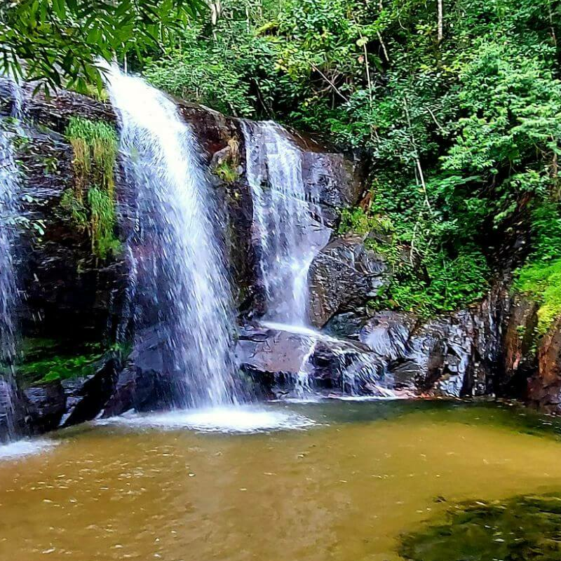 Brasilianisches Cerrado