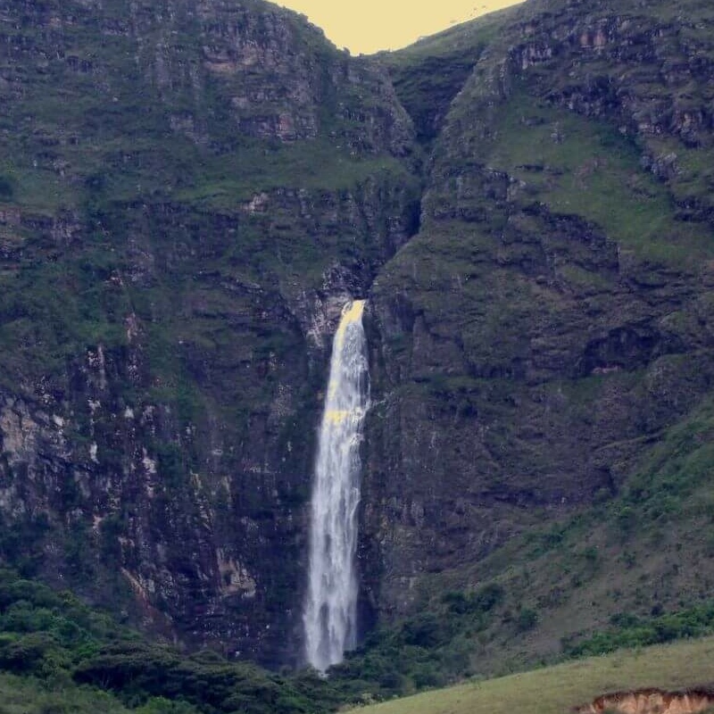Brasilianisches Cerrado