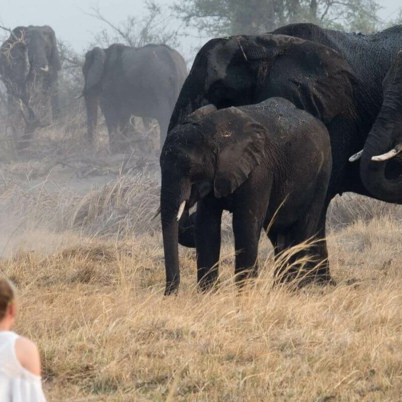 Caprivi-Zipfel