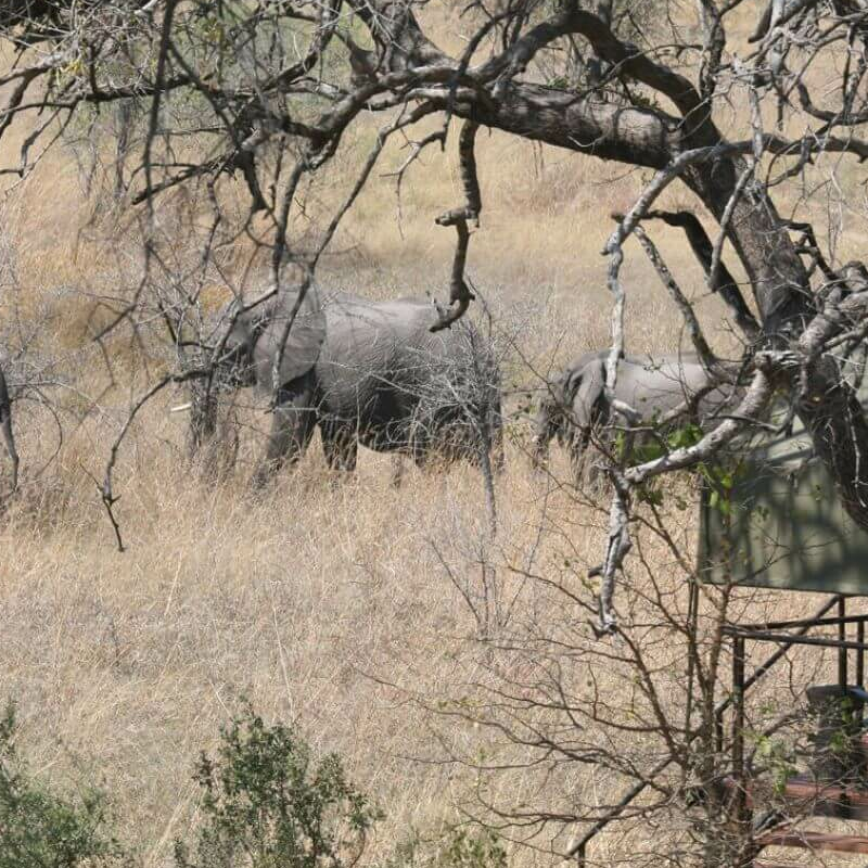 Caprivi-Zipfel