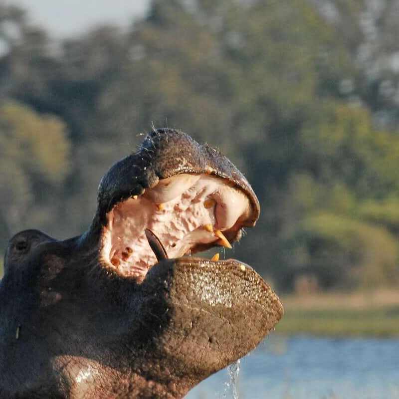 Caprivi-Zipfel
