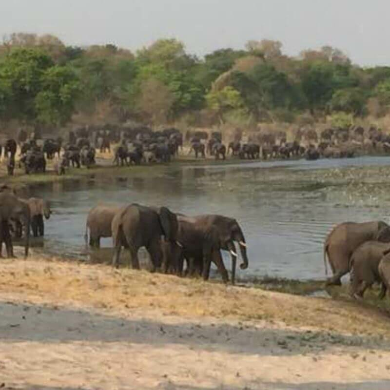 Caprivi-Zipfel