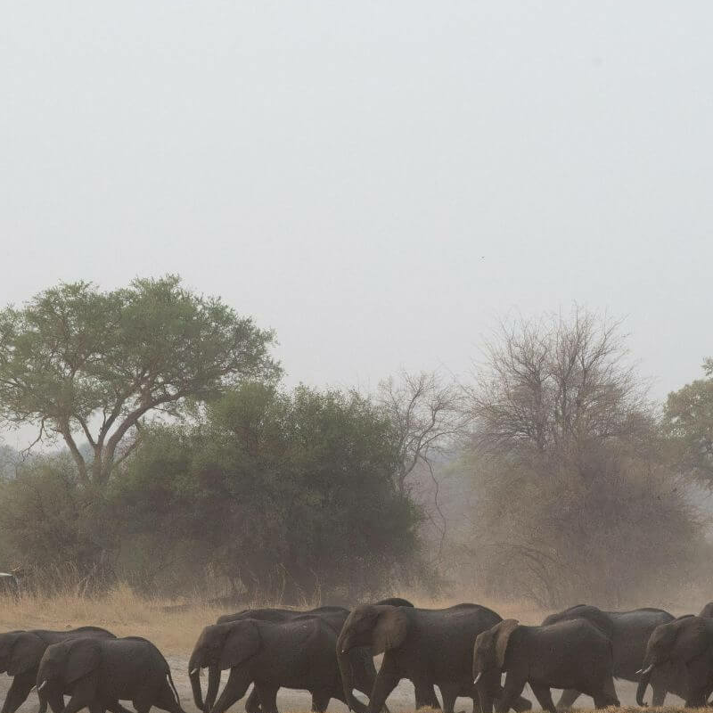Caprivi-Zipfel