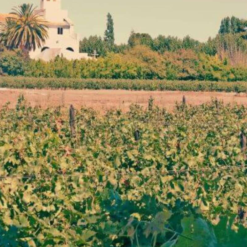 Chile Weinregion