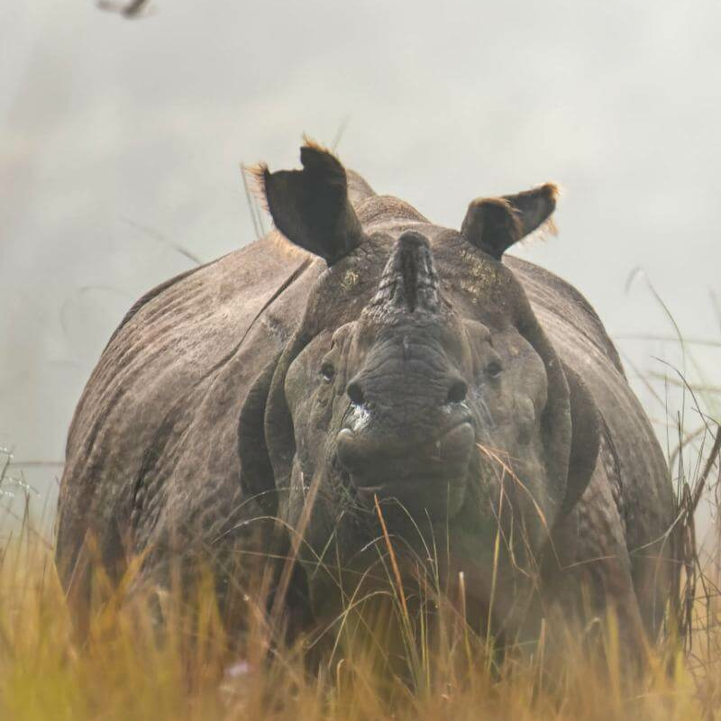 Chitwan-Nationalpark