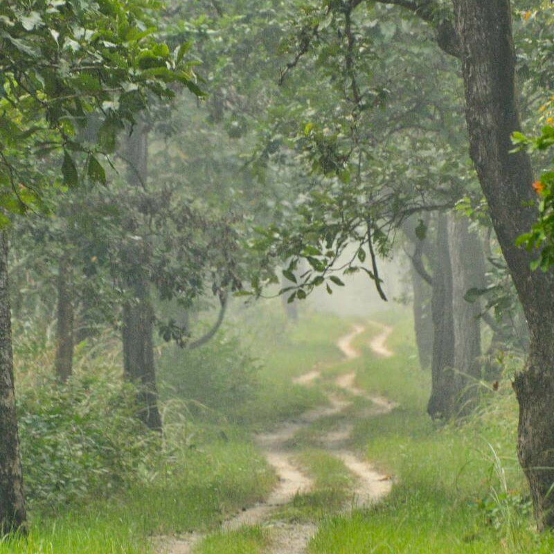 Chitwan-Nationalpark
