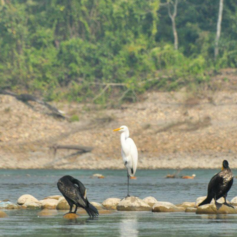 Chitwan-Nationalpark