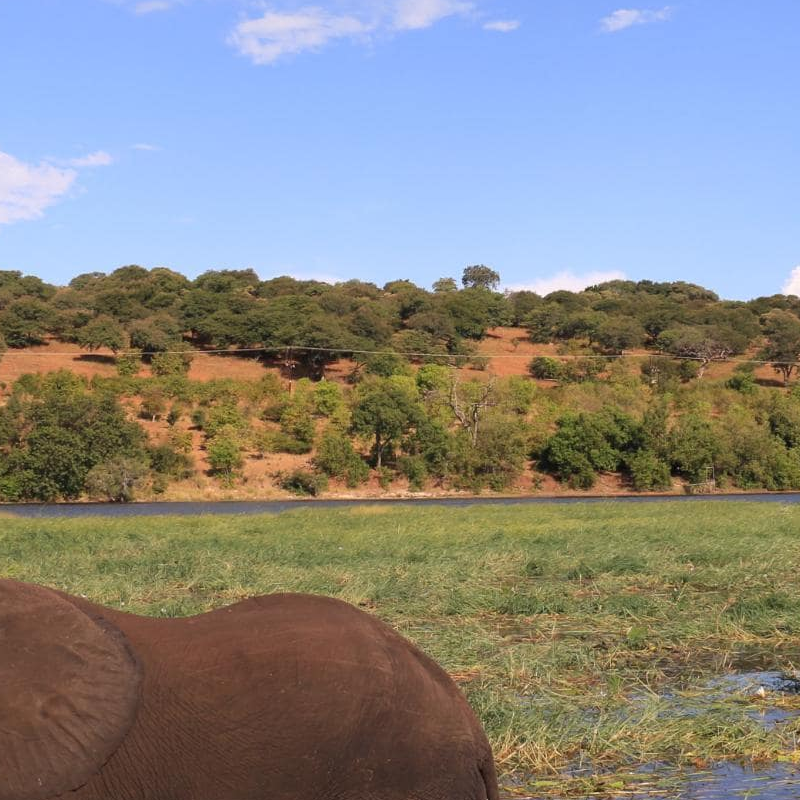 Chobe National Park