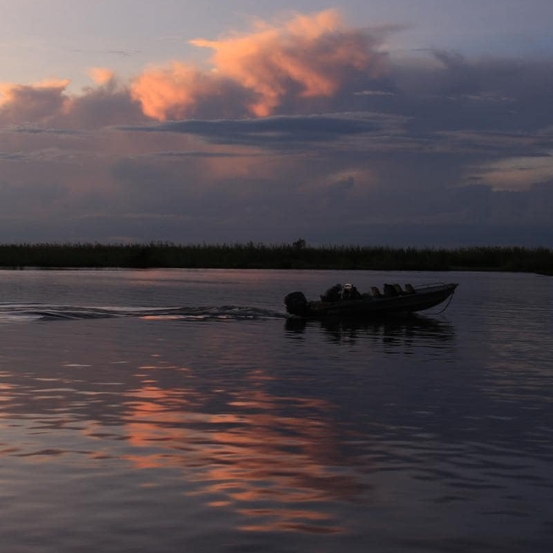 Chobe National Park