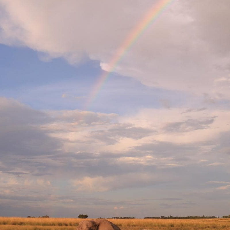 Chobe National Park