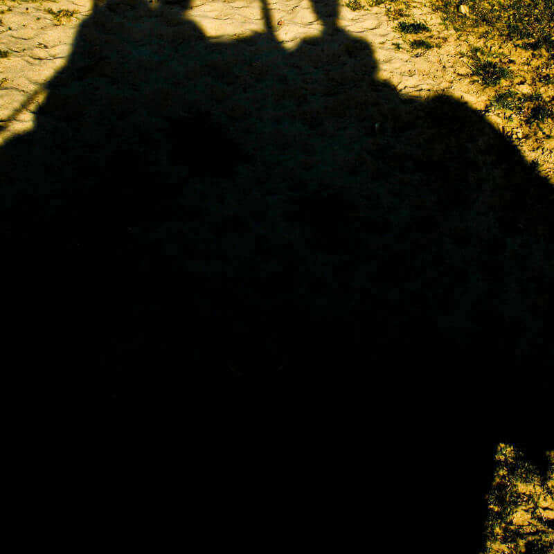 Corbett Tiger Reserve