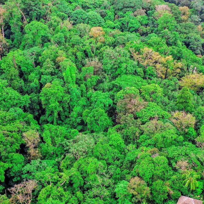 Corcovado Nationalpark
